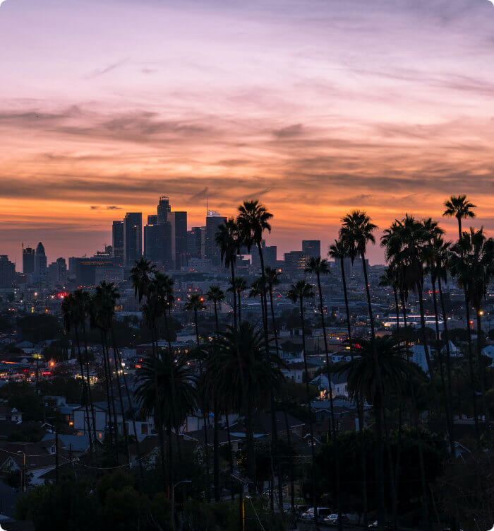 Palm trees overlooking a city.